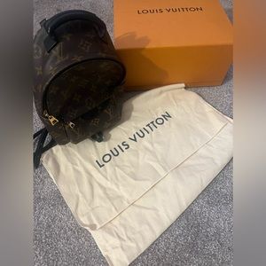 Louis Vuitton Palm Springs Mini